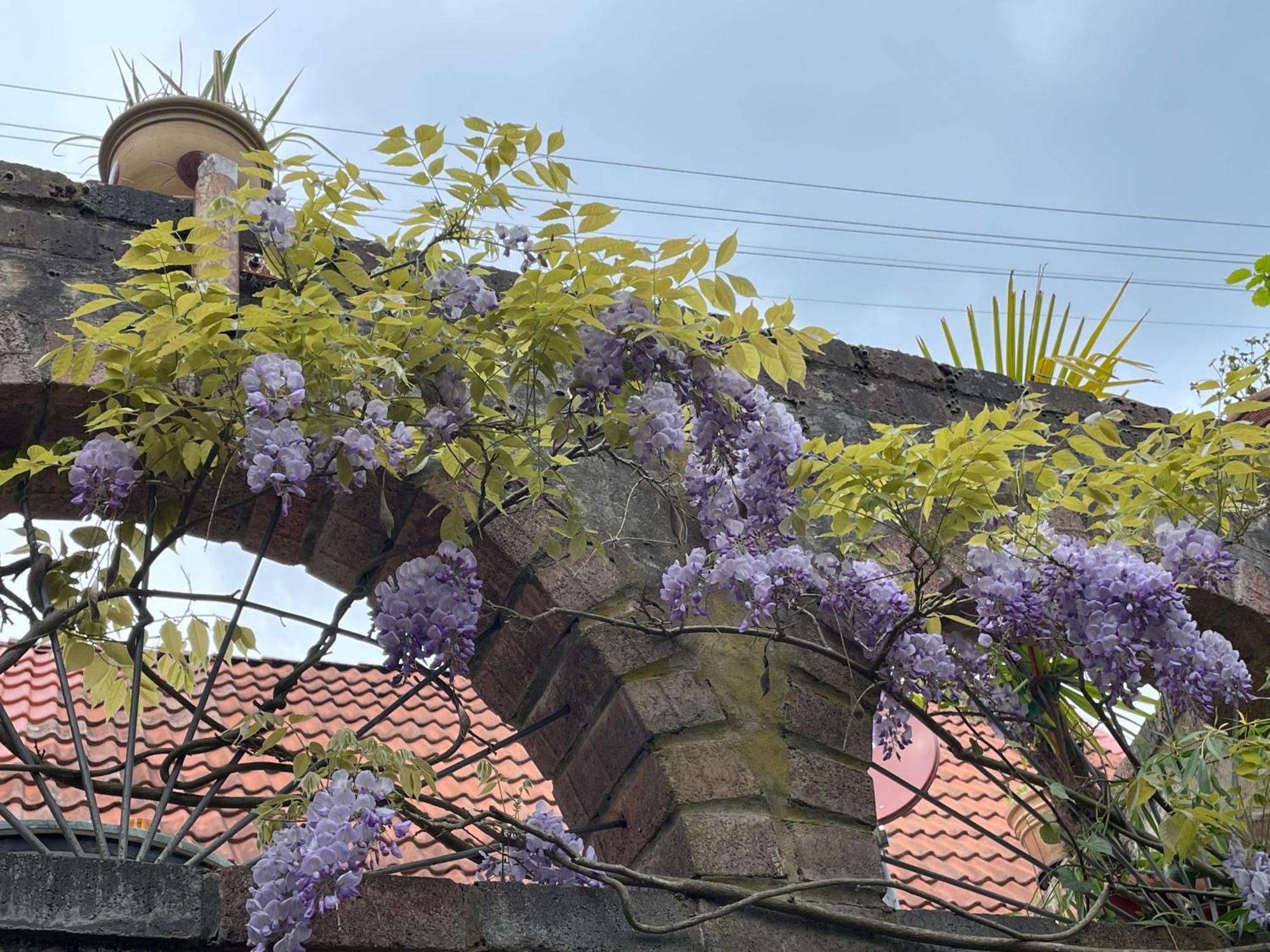 "Casita Linda "Am Donnersberg Villa Dannenfels Luaran gambar